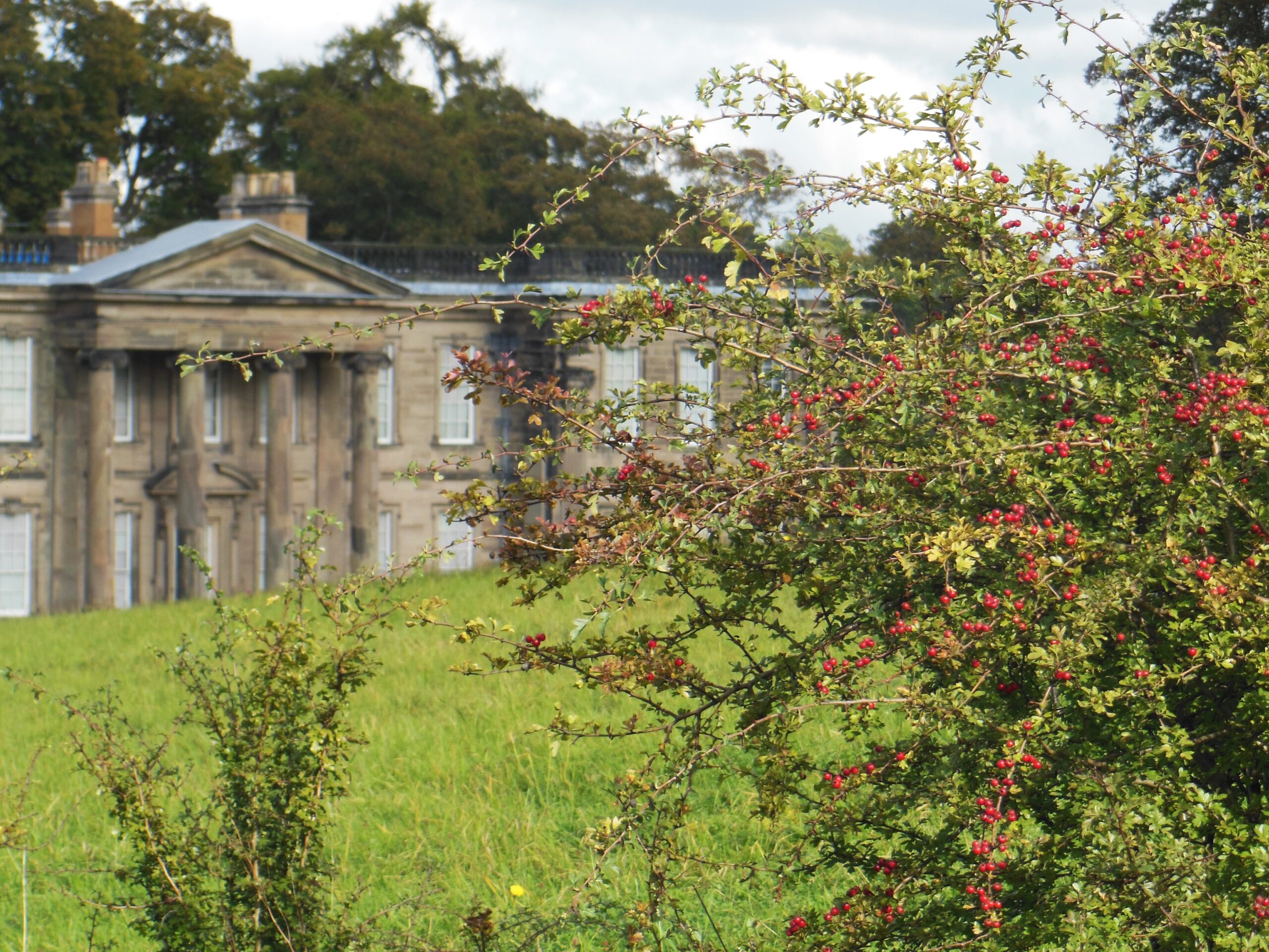 Un jour à Calke Abbey