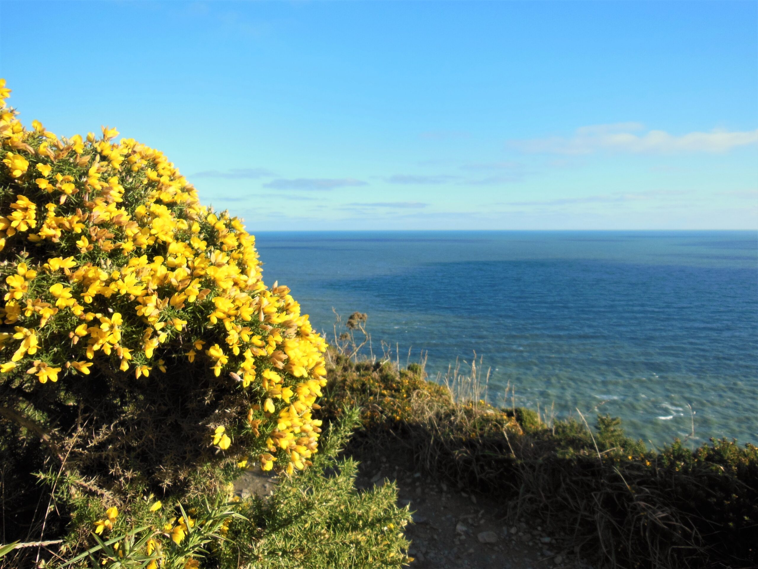 Un week-end… en Irlande